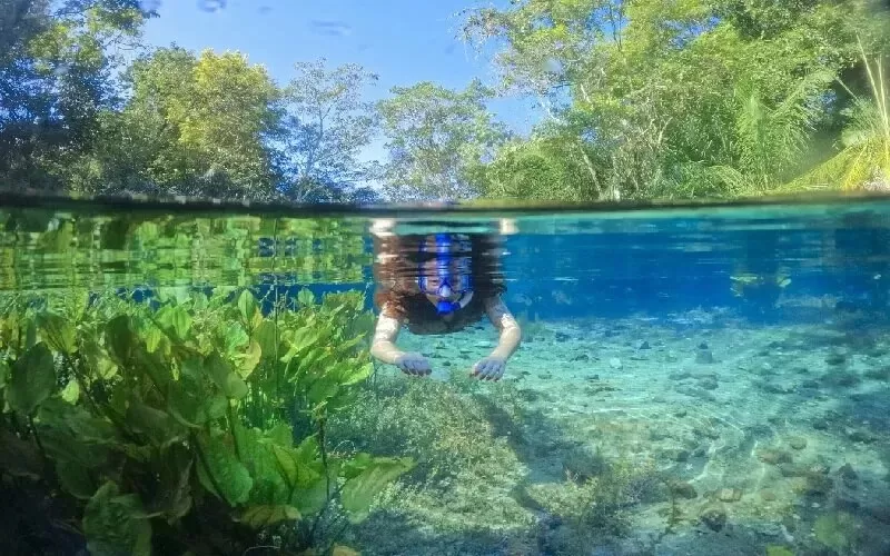 nascente-azul-flutu