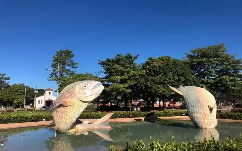 praca-da-liberdade