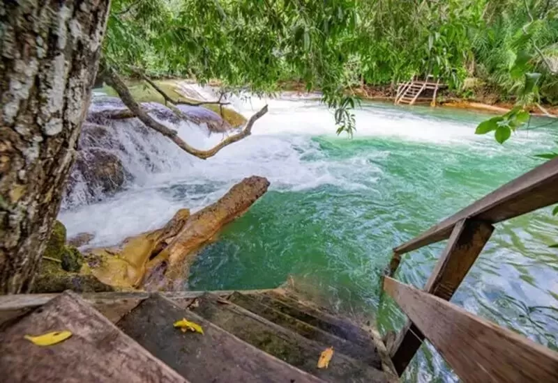 bosque-das-aguas-1