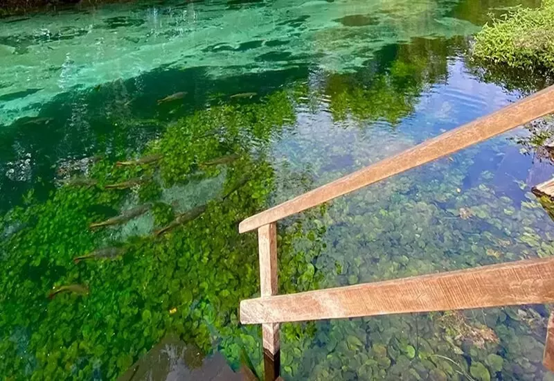 refugio-da-barra-1