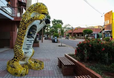 centro-de-bonito-1
