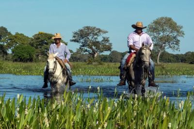 int-pantaneiros-1024x683 (2)