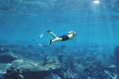 int1-snorkeling-1024x683