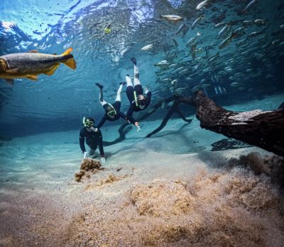 Bonito-MS-1-6-1024x576