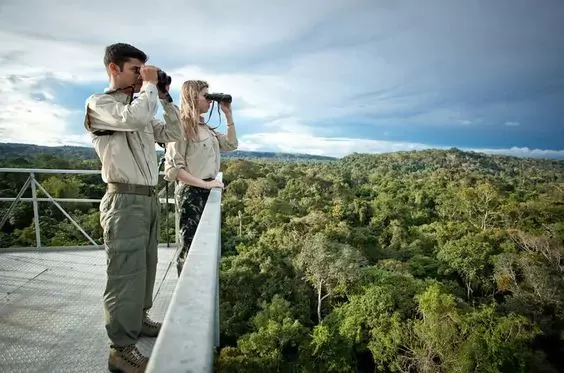 Pantanal-Jungle-Lodge-.jpeg