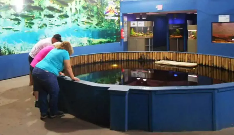 aquario-de-bonito_2