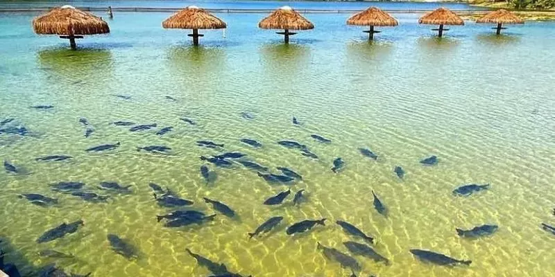 Praia-da-Figueira-Flutuacao-Foto-1