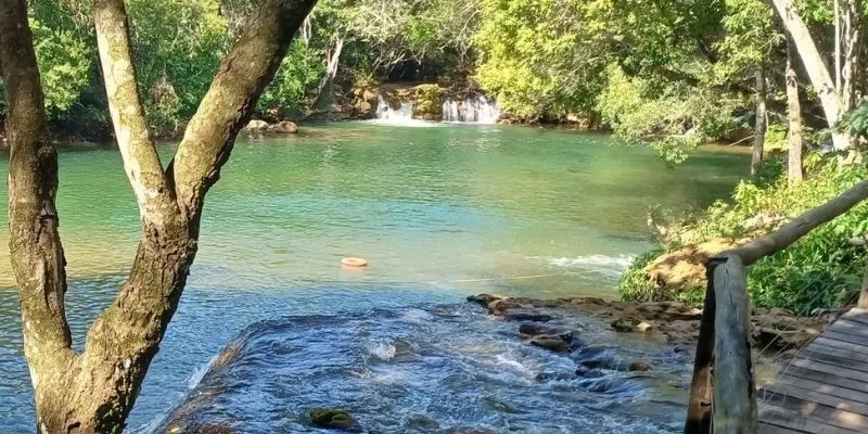 Passaporte – Eco Park Porto da Ilha