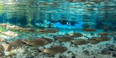 Nascente Azul – Flutuação