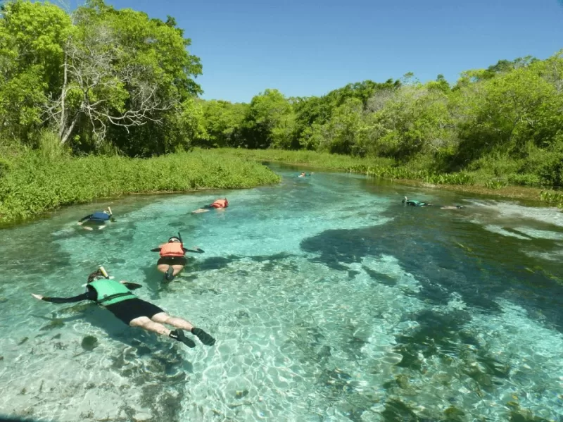 Barra do Sucuri – Flutuação