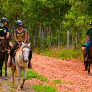 Cavalgada Parque Ecológico - Foto 1