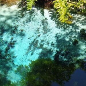 Rio Sucuri - Flutuação - Foto 1