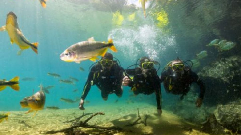 Como funciona o Mergulho SCUBA em bonito MS