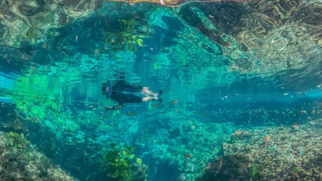 Flutuação em Nascente rio Bonito