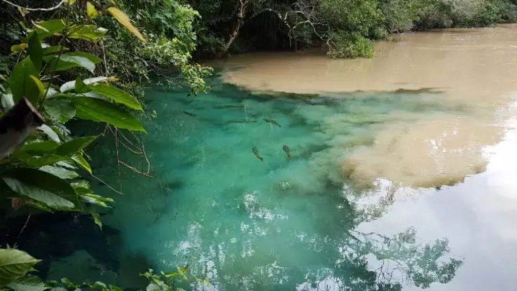 periodos-de-agua-turva-em-bonito