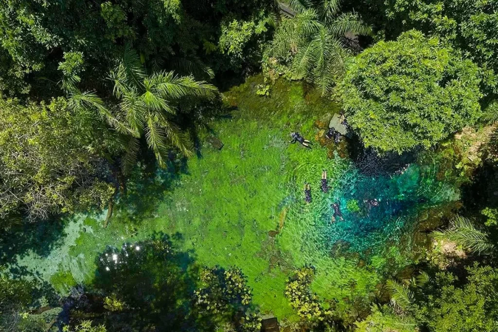 Vista aérea de turistas praticando flutuação em um rio de águas cristalinas cercado por vegetação exuberante em Bonito, Mato Grosso do Sul.