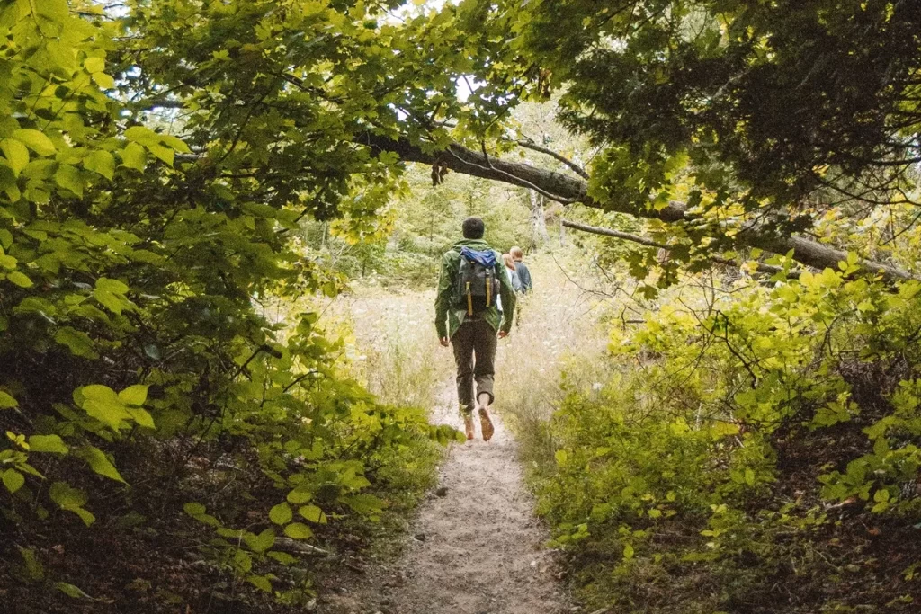 Dois aventureiros caminhando por uma trilha cercada de vegetação verde, com mochilas de trekking.