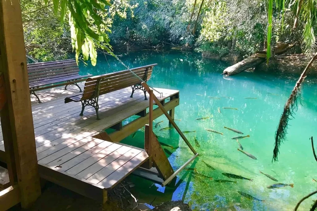 Deck de madeira do Hotel Santa Esmeralda em Bonito, com bancos rústicos voltados para águas verde‑esmeralda onde nadam peixes.