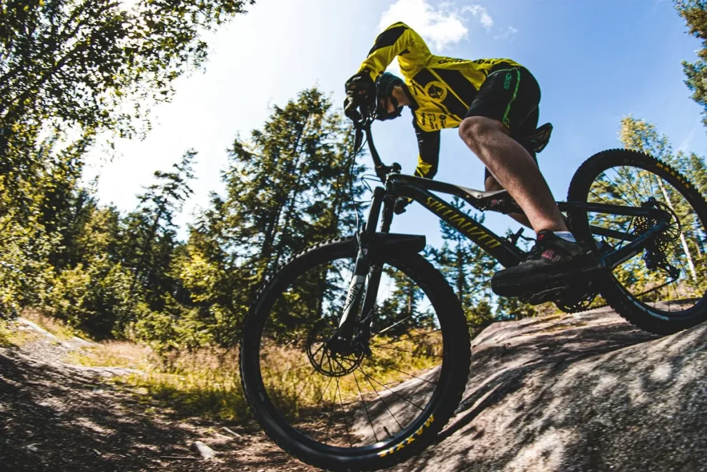 Ciclista com uniforme amarelo pedalando mountain bike em trilha de terra e pedra no meio da floresta, em dia ensolarado.