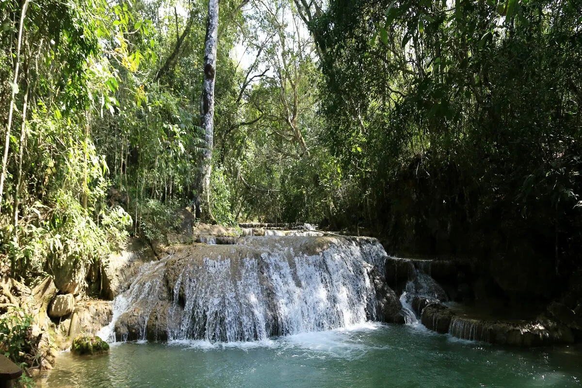 Pequena cachoeira em rio rodeado por mata nativa e árvores altas
