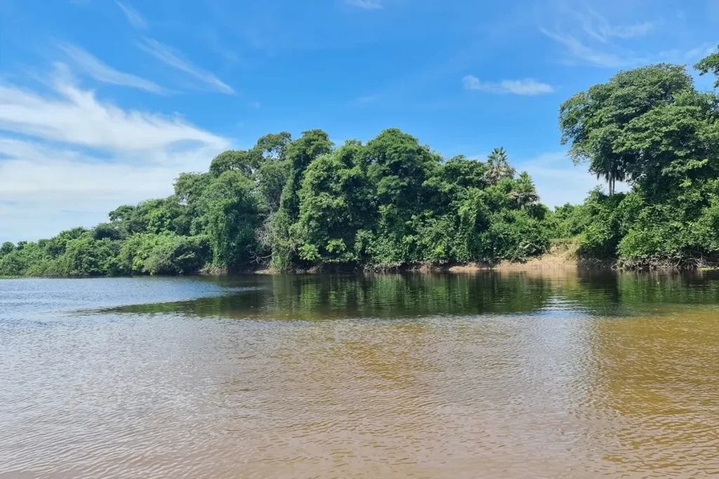 Vista panorâmica do Rio Miranda com águas calmas refletindo o céu azul e vegetação exuberante nas margens.