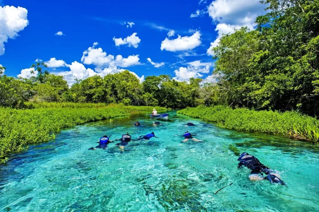 Pessoas praticando flutuação em rio de águas cristalinas rodeado por vegetação exuberante, representando a rica fauna e flora do Cerrado.