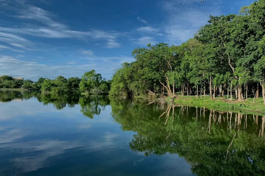  Uma bela fotografia de paisagem de um lago calmo refletindo um céu azul com nuvens brancas e árvores verdes exuberantes em suas margens. A água serena espelha perfeitamente a vegetação e o céu, criando uma cena de paz e harmonia natural.