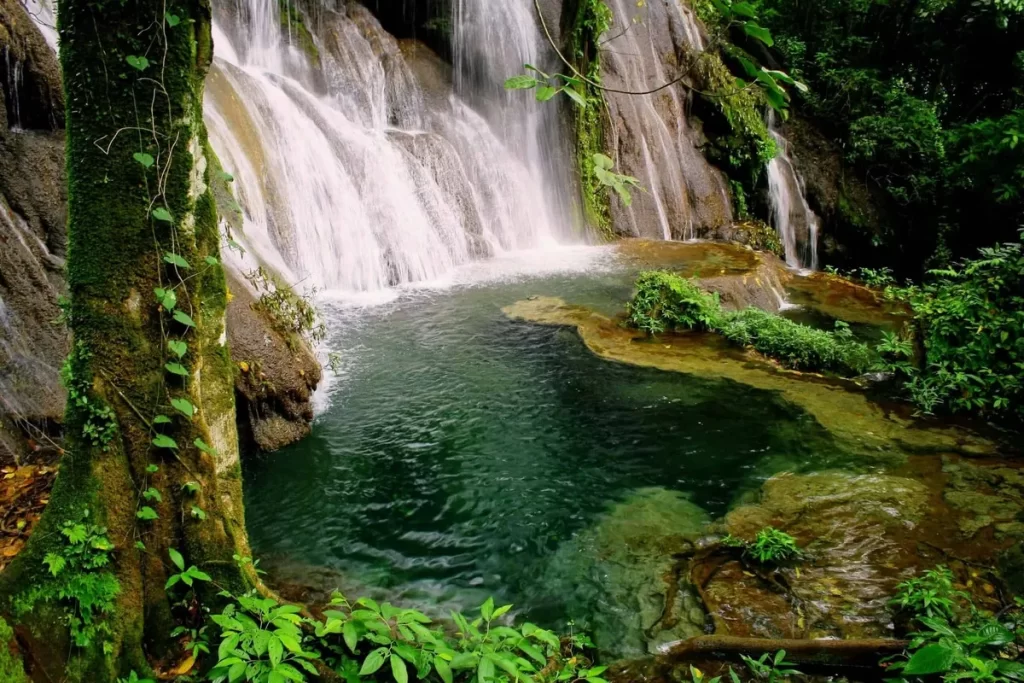 Cachoeira em trilhas com água caindo sobre pedras musgosas em uma piscina natural na floresta.