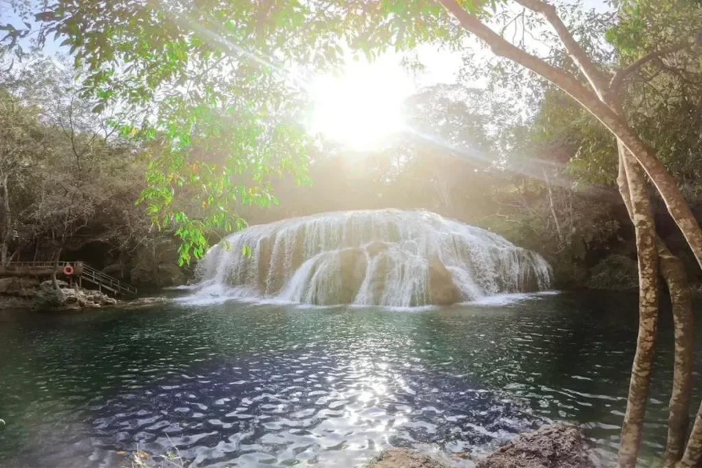 Cachoeira em trilhas em meio a uma floresta, com água caindo em uma piscina natural e uma passarela de madeira.
