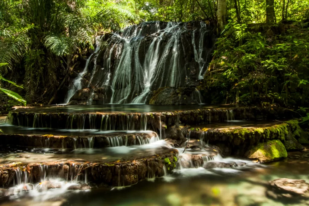 Uma cachoeira de águas cristalinas em uma floresta densa e verde, com a água caindo em cascatas sobre rochas. A imagem ilustra uma das belas características do Pantanal: sua rica biodiversidade e paisagens naturais.