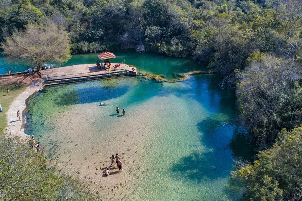 Turistas nadando e observando peixes em águas cristalinas no Balneário Municipal de Bonito, Mato Grosso do Sul