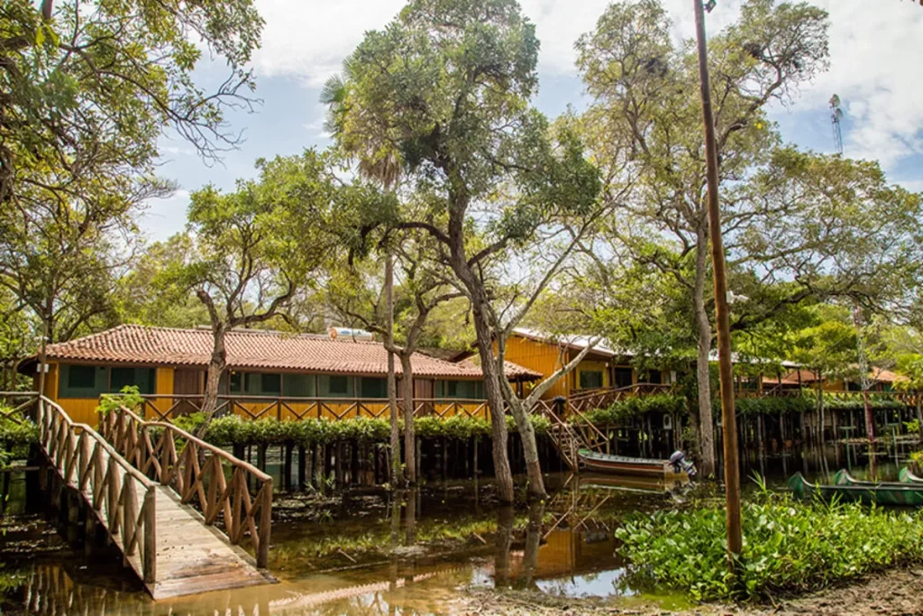 Vista de um hotel no Pantanal construído sobre palafitas em meio à mata, com uma ponte de madeira e barcos em uma área alagada.