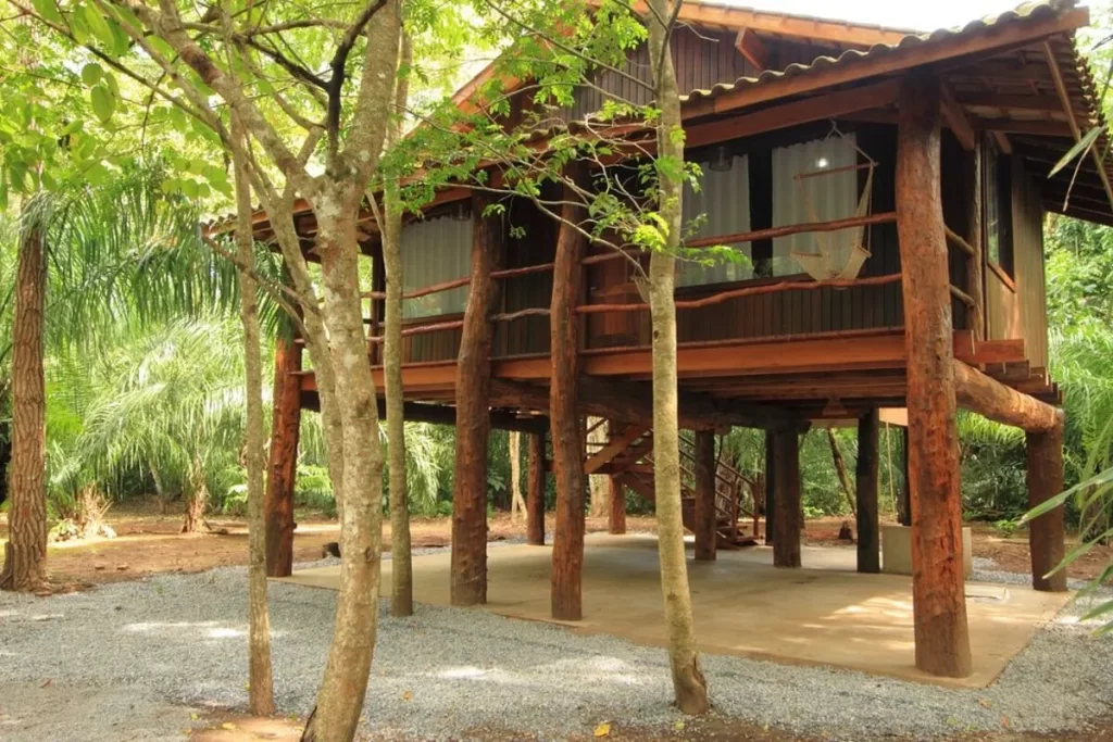Cabana rústica de madeira em meio à natureza exuberante, com varanda e rede, ideal para hospedagem em hotel cabanas ecológico.