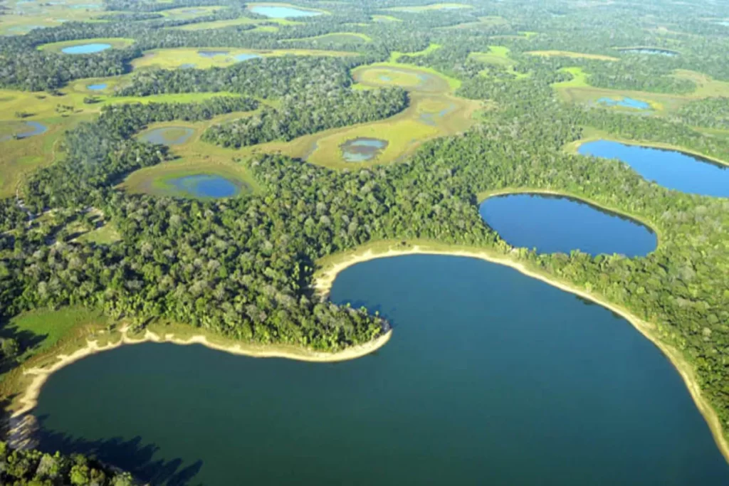 Vista aérea do Pantanal brasileiro com rios sinuosos, lagoas e vegetação exuberante, mostrando a biodiversidade da região.