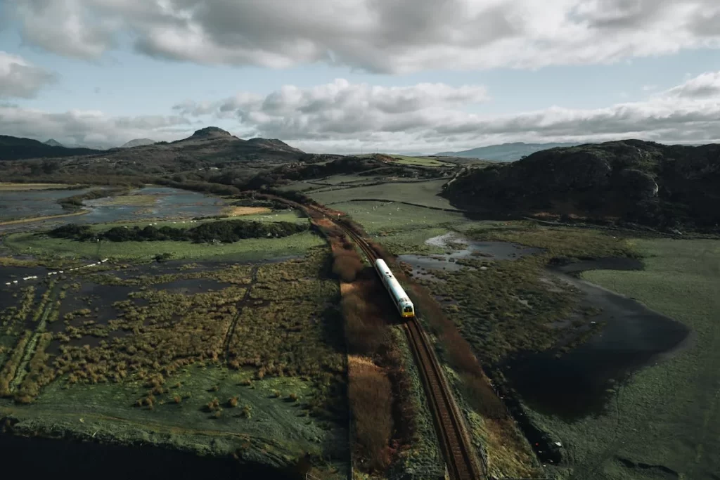 Trem do Pantanal: análise do passeio, experiências e dicas práticas 1 1 1