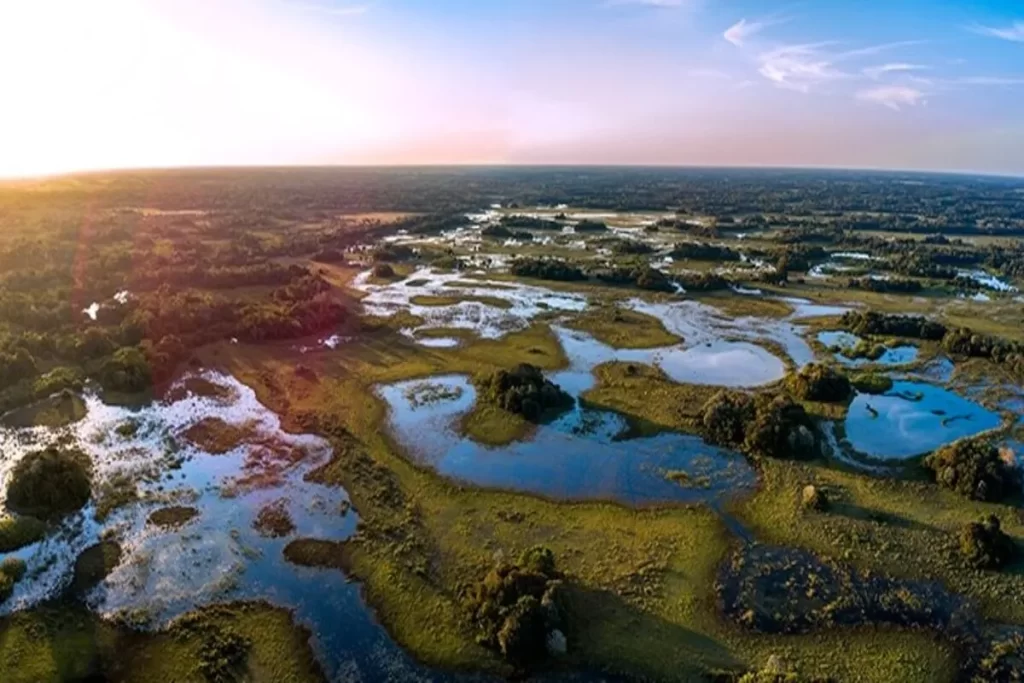Relevo do Pantanal: formação, curiosidades e tipologias 2 Vista aérea da planície de inundação do Pantanal ao pôr do sol, mostrando um mosaico de lagoas e canais de água no relevo plano.