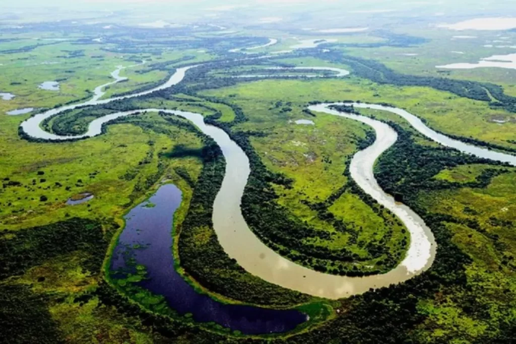 Relevo do Pantanal: formação, curiosidades e tipologias 1 Vista aérea de um rio meandrante em uma planície verde, ilustrando o relevo do Pantanal e seus corpos d'água.