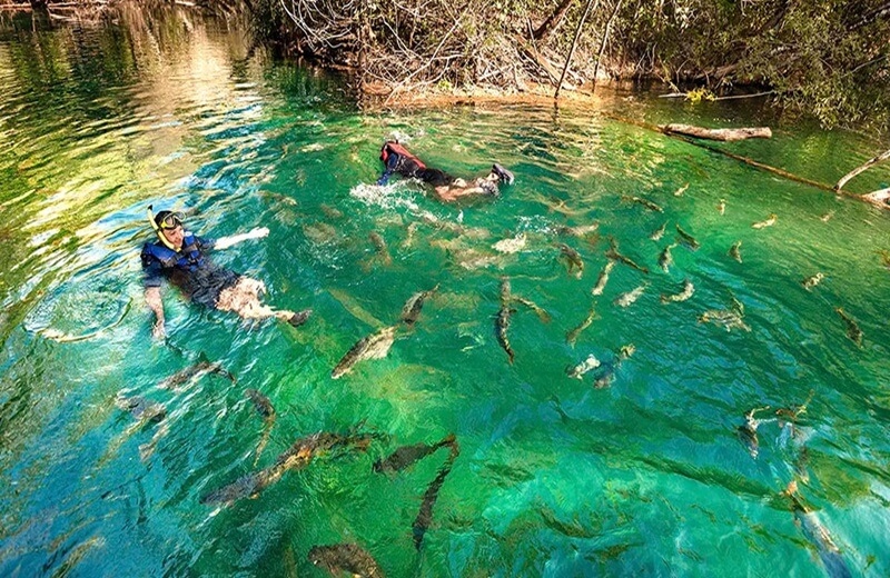 flutuacao rio formoso 1