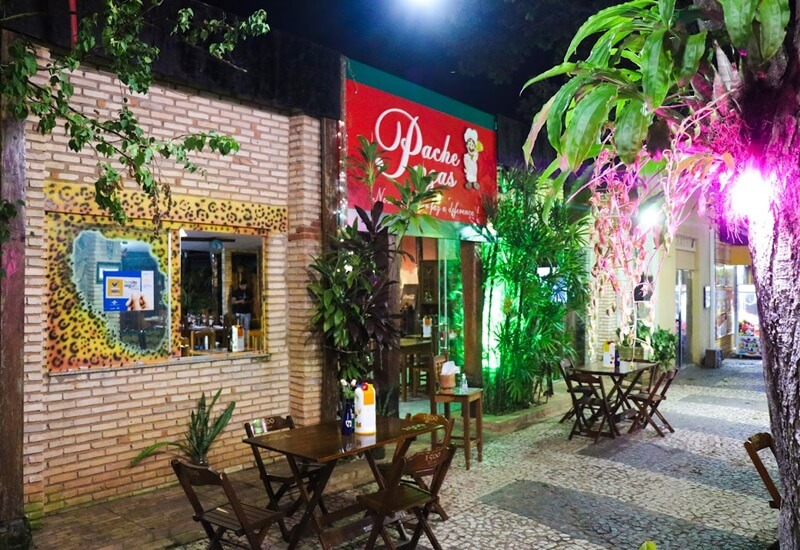 pache pizzas bonito 1