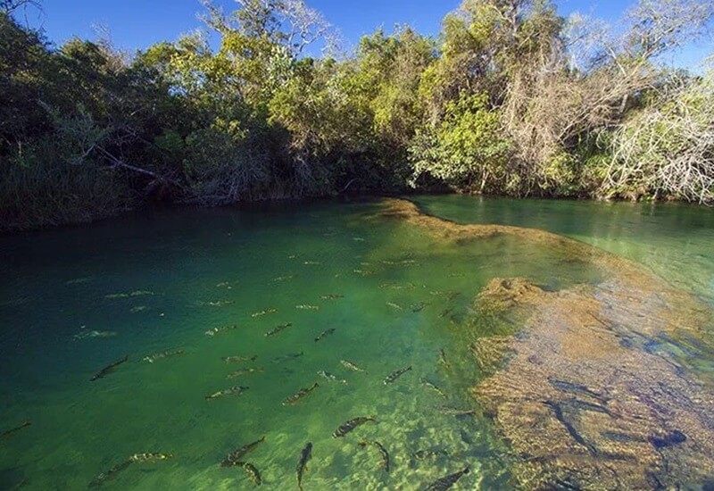 balneario municipal 1