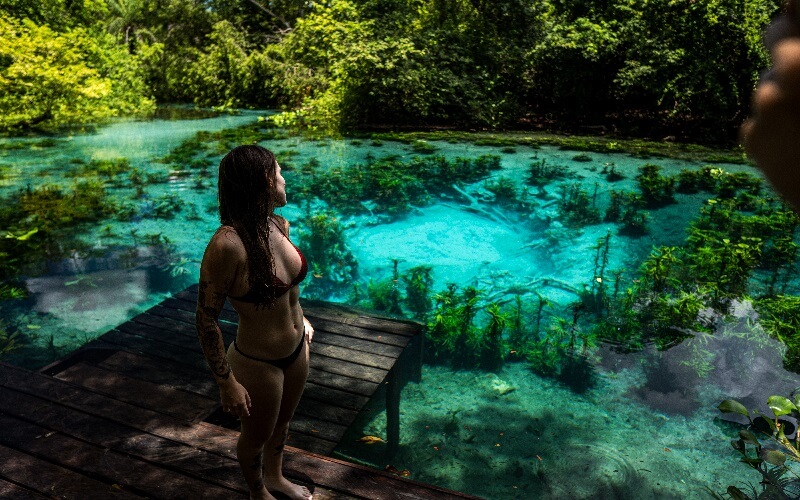Conheça o fervedouro em Bodoquena MS: 2 fervedouro bodoquena ms