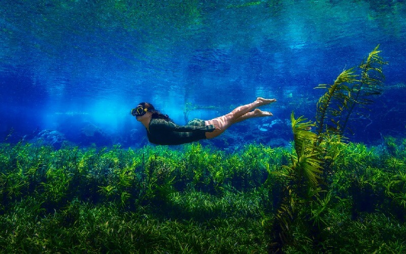 Conheça o fervedouro em Bodoquena MS: 7 fervedouro rio azul flutu