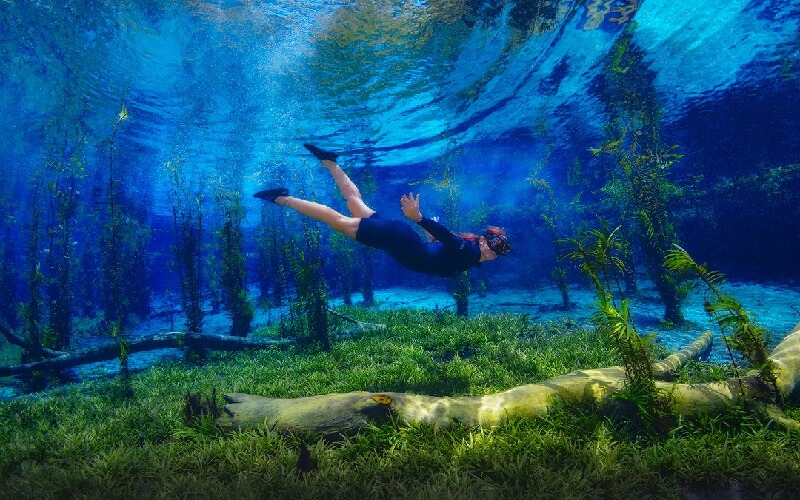 Conheça o fervedouro em Bodoquena MS: 6 fervedouro rio azul ms