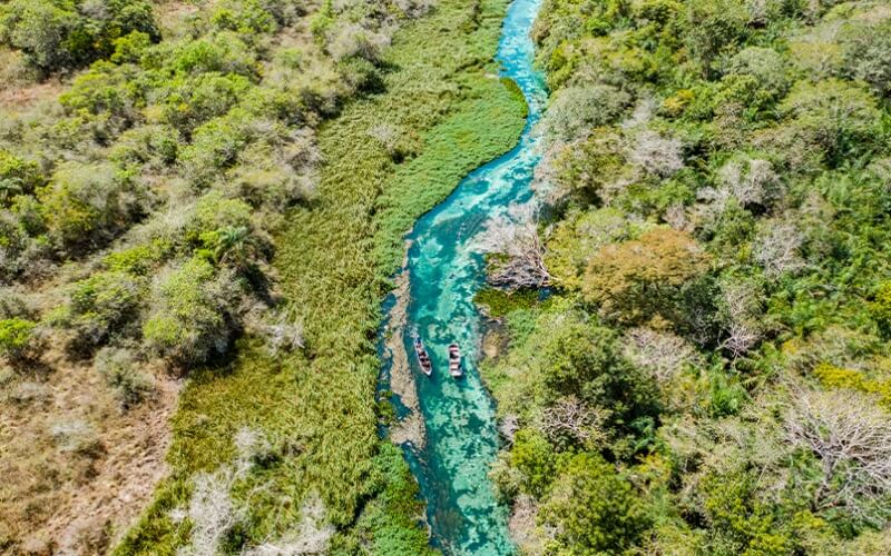 Conheça o Rio Sucuri: O Rio Mais Limpo do Brasil em Bonito MS 1 rio sucuri bonito