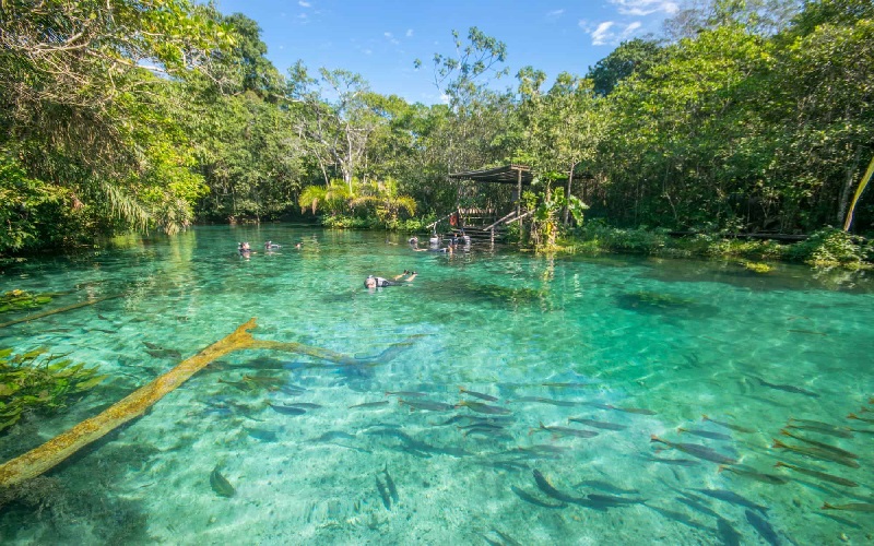 Conheça o Rio Sucuri: O Rio Mais Limpo do Brasil em Bonito MS 3 rio sucuri flutuacao