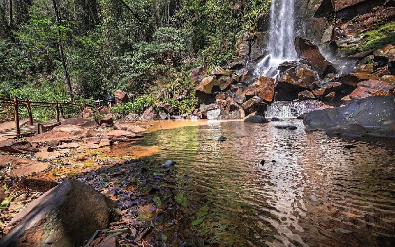 Parque das Cachoeiras: tudo sobre o passeio em Bonito 6 cachoeira da figueira ms