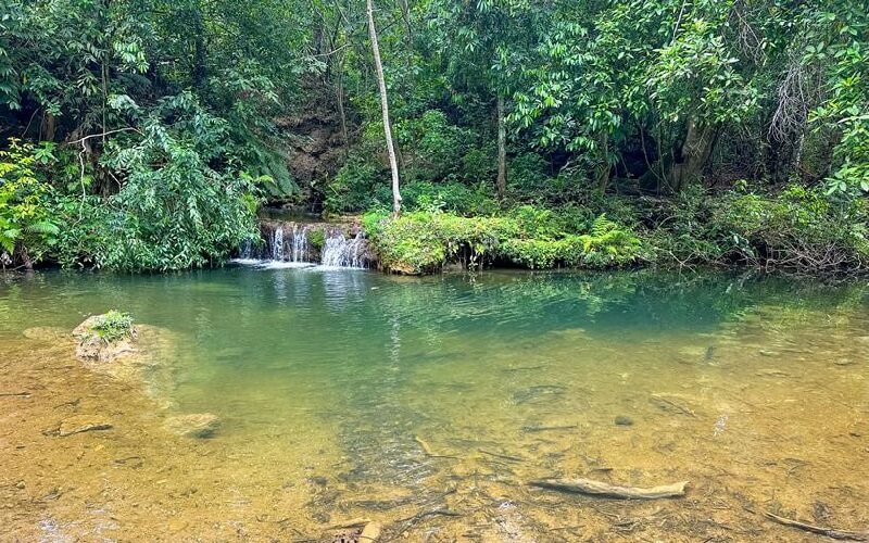 Parque das Cachoeiras: tudo sobre o passeio em Bonito 5 cachoeira da figueira