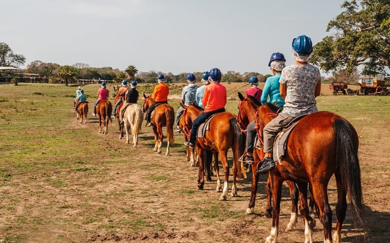 cavalgada pantanal