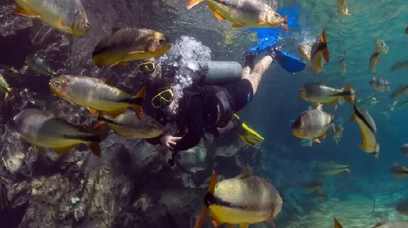 mergulho rio da prata