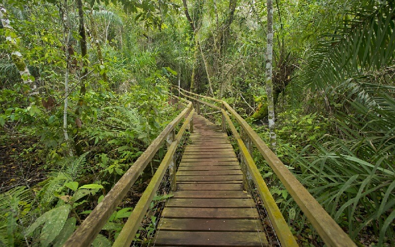 recanto ecologico rio da prata